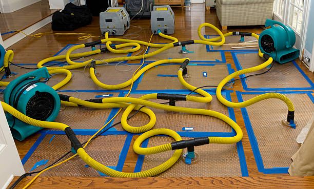 Professional Basement Flood Cleanup technician working in Williamsfield, OH